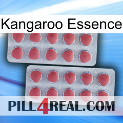 Kangaroo Essence 19